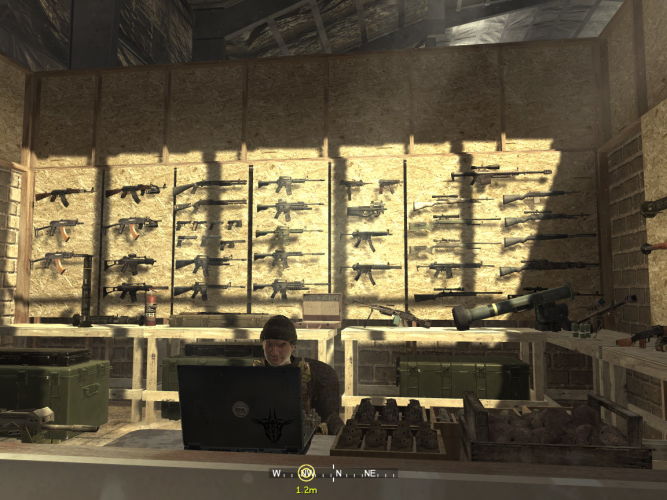 Wojenko, wojenko, cóżeś ty za pani..., Call of Duty 4: Modern Warfare - rzut okiem