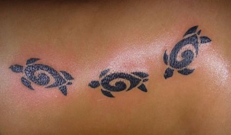 Zwierzęta morskie (i nie tylko), All Points Bulletin - Tatuaże na świecie