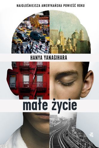 Małe życie - Hanya Yanagihara, Kącik czytelniczy #9 - Asasyni, bogactwo, podniebne miasta i duże małe życie
